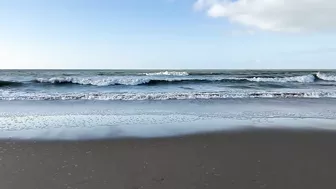 i took my best friend to the beach (and we met goats)