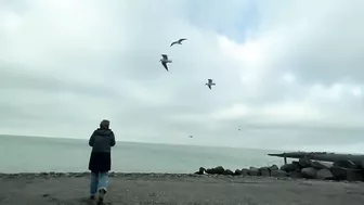 i took my best friend to the beach (and we met goats)