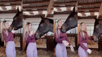 German Model’s Horse Unzips her Top in Instagram Trend, Video Goes Viral