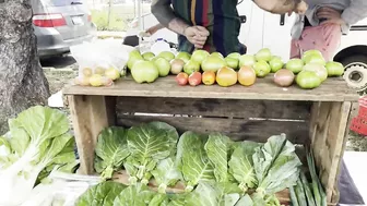 Farmers Market of Rincón | Mercado Agro Ecologico de Rincón  | Travel Puerto Rico