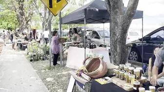 Farmers Market of Rincón | Mercado Agro Ecologico de Rincón  | Travel Puerto Rico