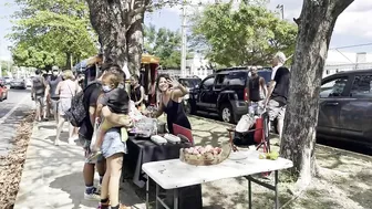 Farmers Market of Rincón | Mercado Agro Ecologico de Rincón  | Travel Puerto Rico