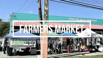 Farmers Market of Rincón | Mercado Agro Ecologico de Rincón  | Travel Puerto Rico