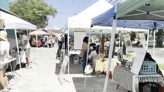 Farmers Market of Rincón | Mercado Agro Ecologico de Rincón  | Travel Puerto Rico