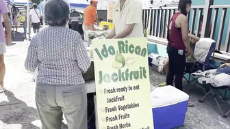 Farmers Market of Rincón | Mercado Agro Ecologico de Rincón  | Travel Puerto Rico