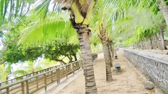 Bain Boeuf Public Beach walking Tour Mauritius