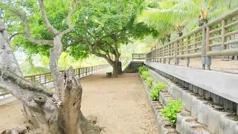 Bain Boeuf Public Beach walking Tour Mauritius