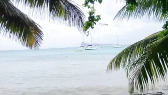 Bain Boeuf Public Beach walking Tour Mauritius