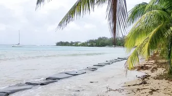 Bain Boeuf Public Beach walking Tour Mauritius