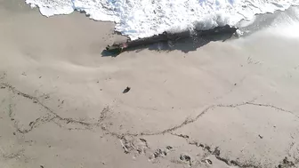 Herman's Bay Beach, Hutchinson Island, Florida