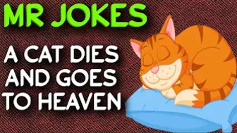 Funny Joke - A cat dies and goes to heaven