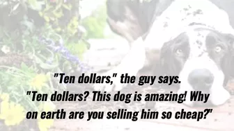 Funny Joke - The guy sees a sign that says, "Talking Dog For Sale"