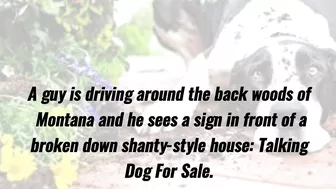 Funny Joke - The guy sees a sign that says, "Talking Dog For Sale"