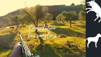 chasse sanglier 2021/compilation de tirs wild boar hunt 2021 / shot compilation