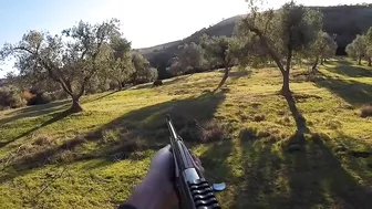 chasse sanglier 2021/compilation de tirs wild boar hunt 2021 / shot compilation