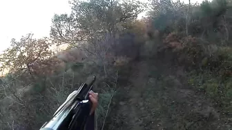 chasse sanglier 2021/compilation de tirs wild boar hunt 2021 / shot compilation