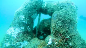 Diving Florida's FIRST UNDERWATER MUSEUM!!! | Grayton Beach Scuba