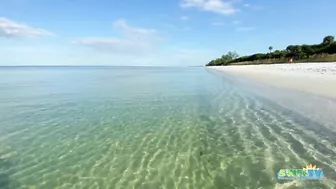 Robb's Monday Morning Beach Walk in Area 1 at Delnor-Wiggins 09.27.21