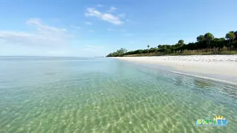 Robb's Monday Morning Beach Walk in Area 1 at Delnor-Wiggins 09.27.21