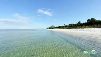 Robb's Monday Morning Beach Walk in Area 1 at Delnor-Wiggins 09.27.21