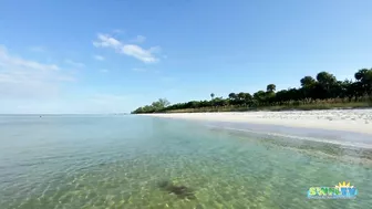 Robb's Monday Morning Beach Walk in Area 1 at Delnor-Wiggins 09.27.21