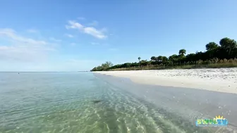 Robb's Monday Morning Beach Walk in Area 1 at Delnor-Wiggins 09.27.21