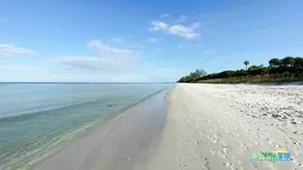 Robb's Monday Morning Beach Walk in Area 1 at Delnor-Wiggins 09.27.21