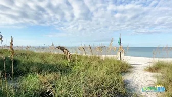 Robb's Monday Morning Beach Walk in Area 1 at Delnor-Wiggins 09.27.21