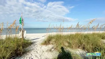 Robb's Monday Morning Beach Walk in Area 1 at Delnor-Wiggins 09.27.21