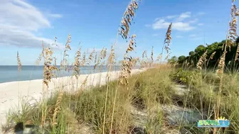 Robb's Monday Morning Beach Walk in Area 1 at Delnor-Wiggins 09.27.21