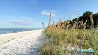 Robb's Monday Morning Beach Walk in Area 1 at Delnor-Wiggins 09.27.21