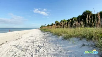 Robb's Monday Morning Beach Walk in Area 1 at Delnor-Wiggins 09.27.21