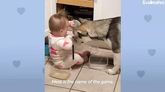 Baby Husky Grows Up With Baby Girl And They Do Everything Together | The Dodo Soulmates