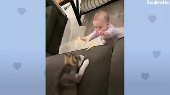 Baby Husky Grows Up With Baby Girl And They Do Everything Together | The Dodo Soulmates