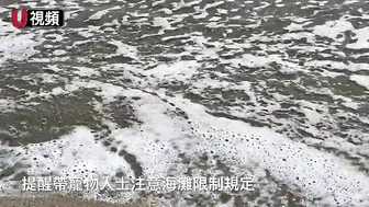 南加Laguna Beach的隱蔽海灘：維多利亞海灘