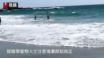 南加Laguna Beach的隱蔽海灘：維多利亞海灘