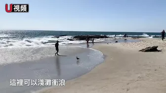 南加Laguna Beach的隱蔽海灘：維多利亞海灘