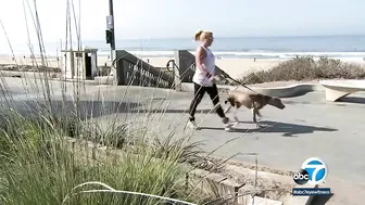 Newsom signs bill enabling return of seized Bruce's Beach to descendants of original Black owners