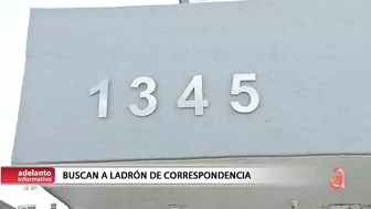 Buscan a ladrón de correspondencia en Miami Beach