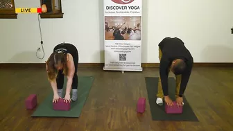 Discover Yoga