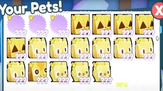 Rich Players! Full Inventory of HUGE PETS in Pet Simulator X!