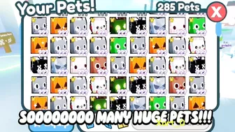 Rich Players! Full Inventory of HUGE PETS in Pet Simulator X!