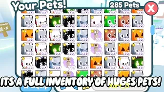 Rich Players! Full Inventory of HUGE PETS in Pet Simulator X!