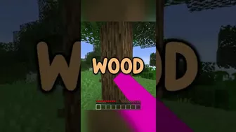 what if minecraft didn't have wood...