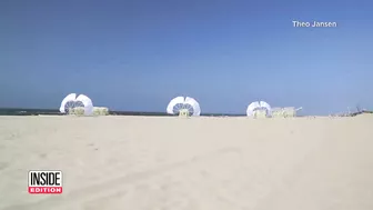 How Are These Art Sculptures Crawling on the Beach?