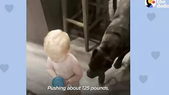 Baby Grows Up With His 125-Pound Dog | The Dodo Soulmates