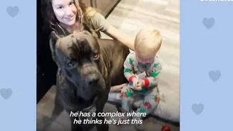 Baby Grows Up With His 125-Pound Dog | The Dodo Soulmates