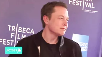 Elon Musk Challenges Vladimir Putin To A 'Single Combat'