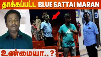 Blue Sattai Maran Attack Clarified - நான் ஒன்னும் பெரிய Celebrity-லாம் இல்ல