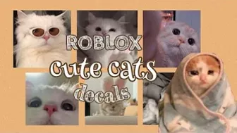 Roblox Cute Cat Decals || aueie